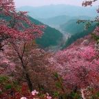 God’s Pathway to Glory: Self-Denial and Utter Faith in Him