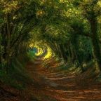 Knowing God by the Spirit of Life