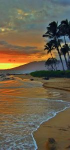 photo: Gregory Massal 