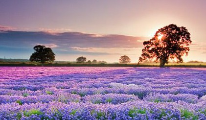 64856537582cb02112da14feb21e64e3