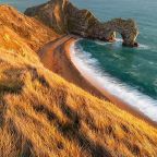 If It Dies, It Produces Many Seeds