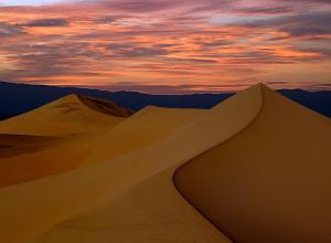 photo: Henrik Lundh III