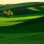 The Latest Word of Encouragement