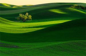 photo: Henrik Lundh III