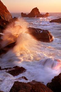 photo: Henrik Lundh III