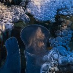 How Grace Transforms – Dan Mohler