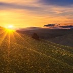 The Lord Is Our Provision