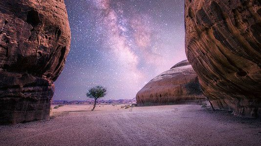 desertbyNasserAlOthman