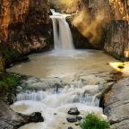 The Joint Enterprise of Grace and Faith: Making the Word Become Manifest