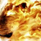 Part 3 –  Jesus’ Many Dire Warnings for Christians are Falsely Attributed To Unbelievers