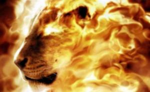 Featured Image -- 6526