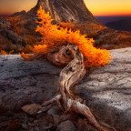 Endurance as Power for the Christian