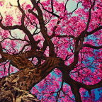 Saving Faith is Present Tense and Active – Part 2: Jesus’ Parable of the Sower